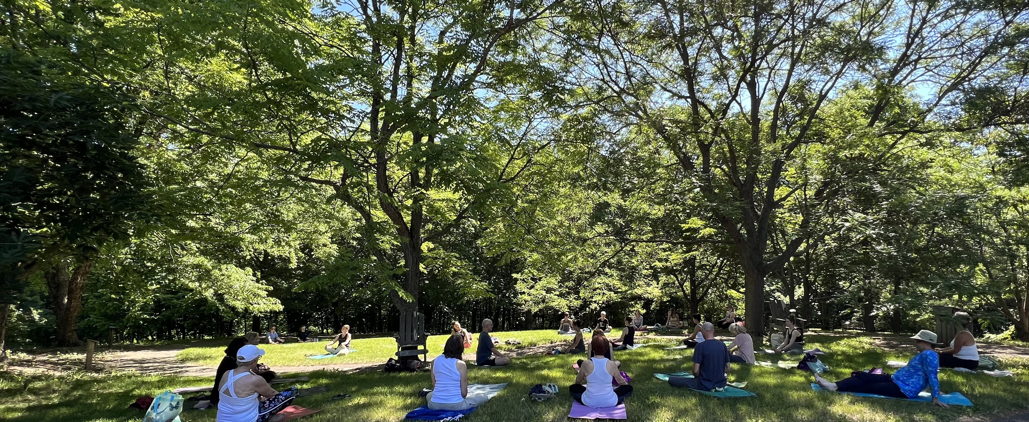 Matthew sitting under trees surrounded by people in a yoga class
