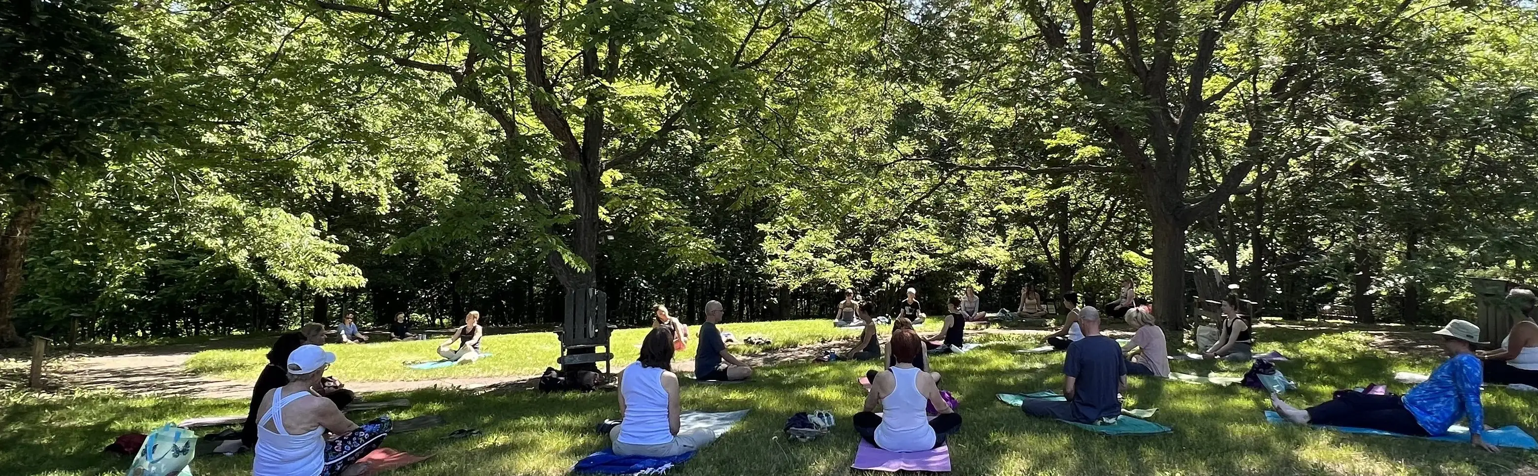 Matthew sitting under trees surrounded by people in a yoga class
