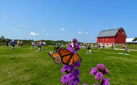 People doing yoga outside near a red barn