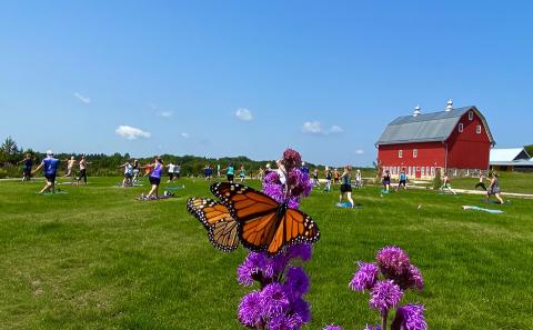 People doing yoga outside near a red barn