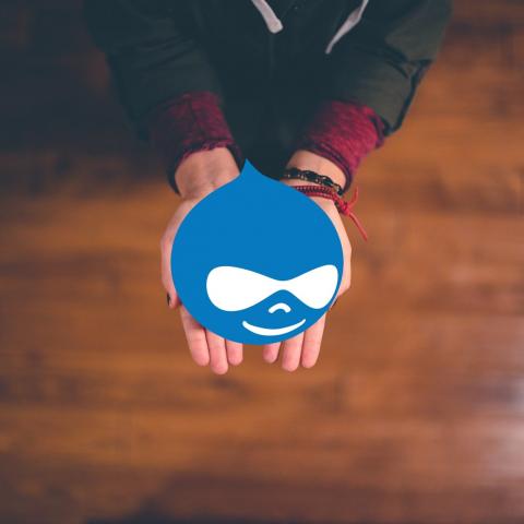 Hands offering a Drupal logo