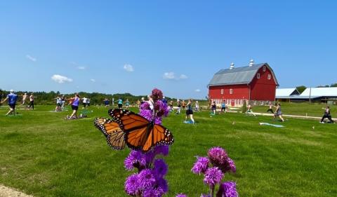 People doing yoga on the grass near a red barn