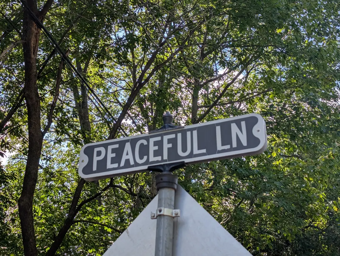 A road sign with the words Peaceful Ln with green leaves in the background